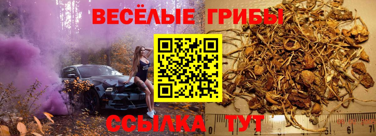 Гашиш  LSD-25  КОКАИН  Буйнакск  Марихуана  Вход с VPN  Меф кристаллы 