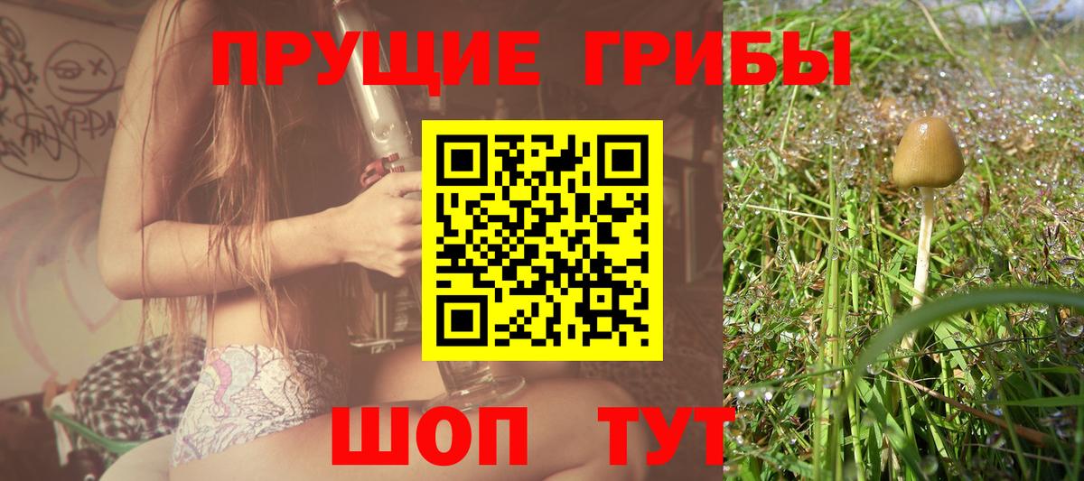 Псилоцибиновые грибы мухоморы Буйнакск