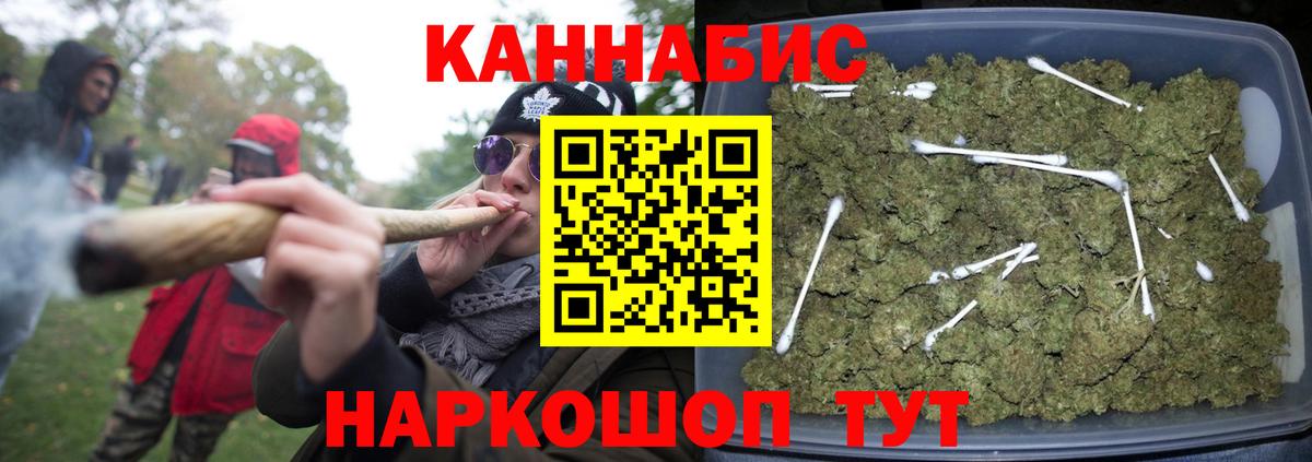 МАРИХУАНА сатива Буйнакск
